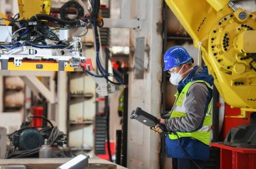 專科畢業(yè)生的職業(yè)流向 數(shù)據(jù)揭示主流去向，過(guò)來(lái)人分享真實(shí)體會(huì)